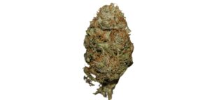 Bruce Banner Marijuana Strain 24% – 29% THC