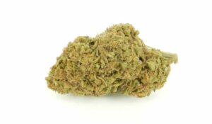 Pineapple Express Marijuana Strain 25% THC